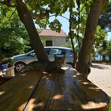 By The Sea Petrcane, Zadar - 17179 Apartment Petrcane
