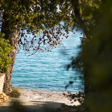 By The Sea Petrcane, Zadar - 17179 Appartement