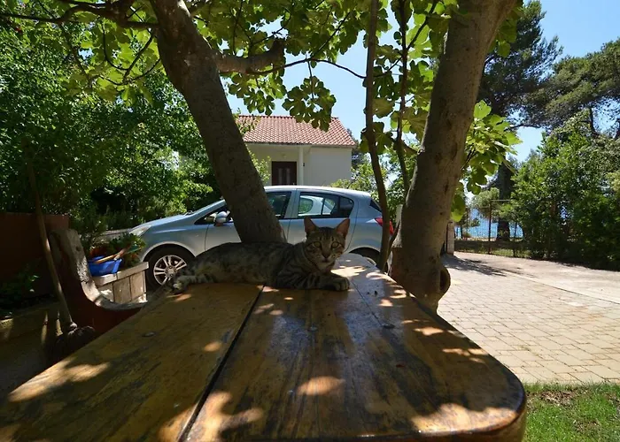 By The Sea Petrcane, Zadar - 17179 Apartament Petrčane